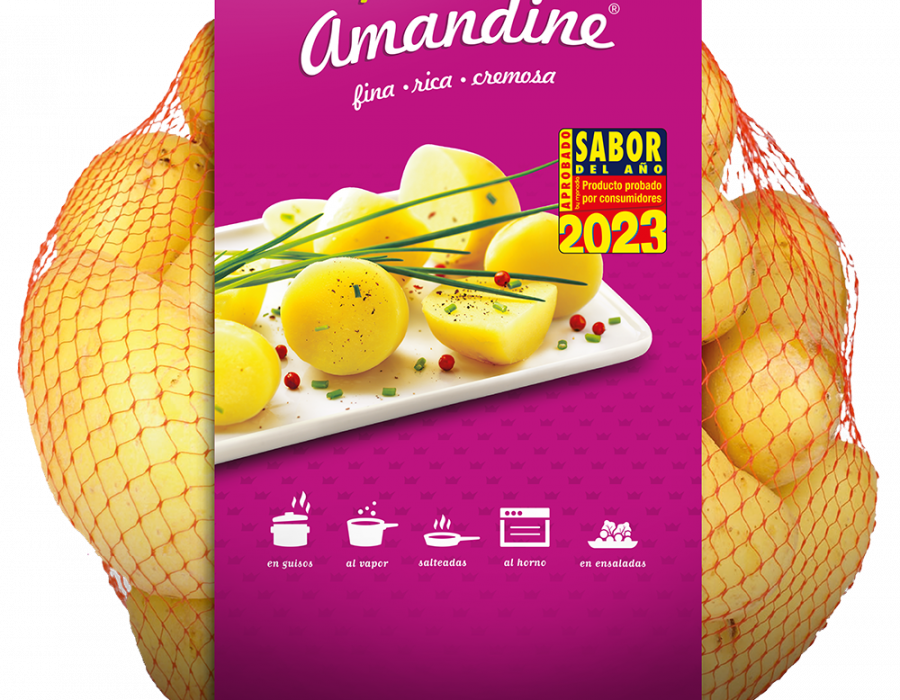 SabordelAño2023 (1)