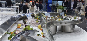 Seafood Expo Global 2