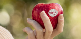 Envy