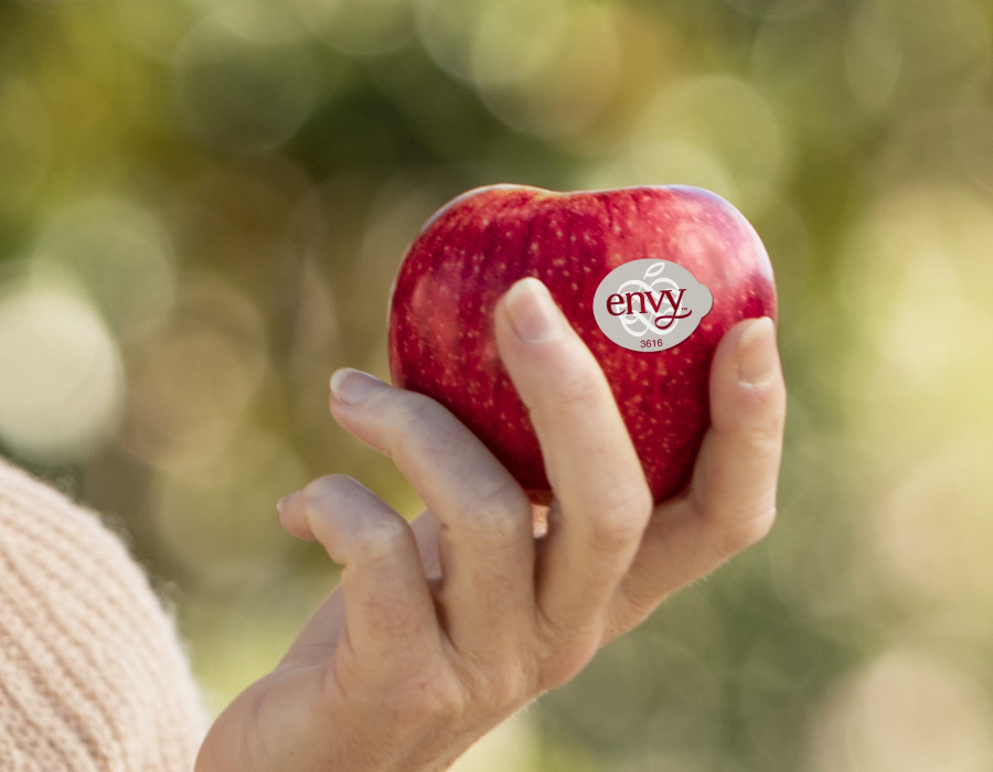 Envy