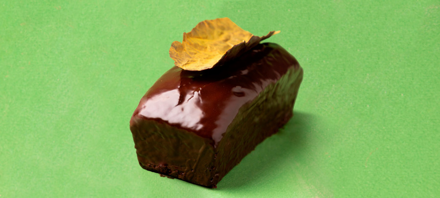 Satin Vegano Choco 2