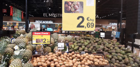 Kiwi origen España en Carrefour