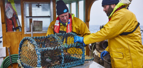 Marine Stewardship Council (6) (1)