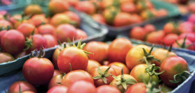 Tomato 2556426 1280