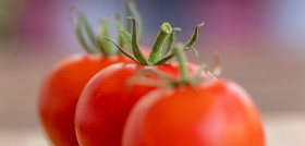 Tomatoes 7386111 1280