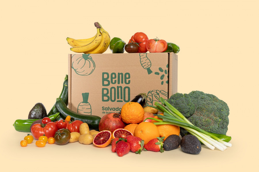 Bene Bono España