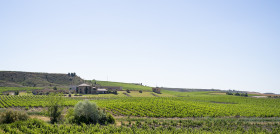PANORAMICA BODEGA PAGOS DE ARAIZ