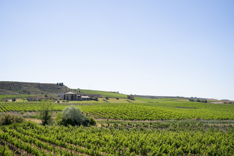 PANORAMICA BODEGA PAGOS DE ARAIZ