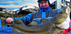 Foto prensa bacalao skrei Carrefour
