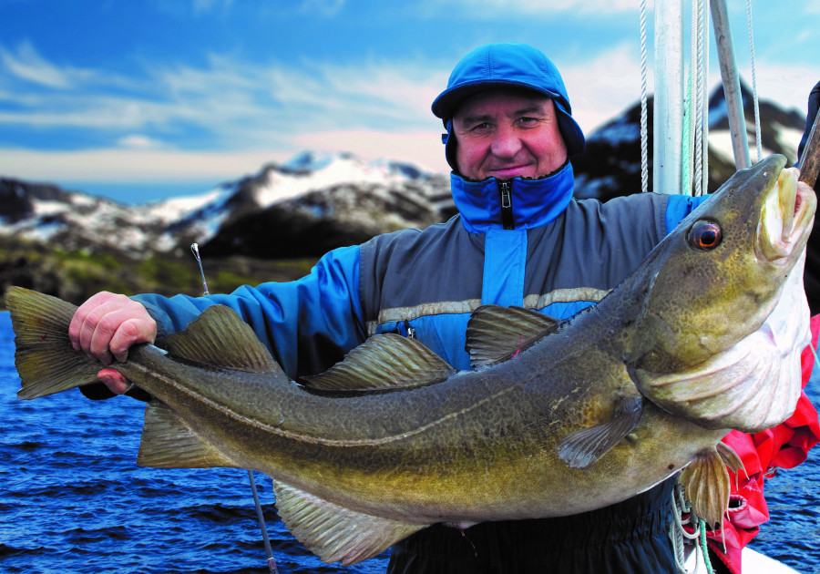 Foto prensa bacalao skrei Carrefour