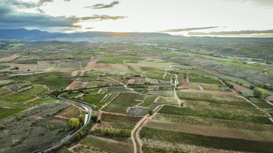 VinedosElPacto PaisajeAltoNajerilla