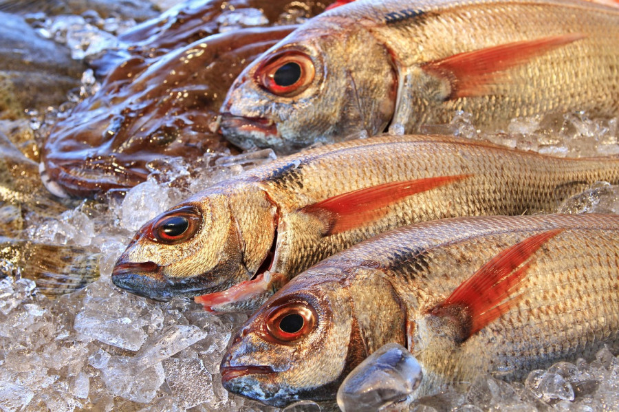 Bream 2312881 1280