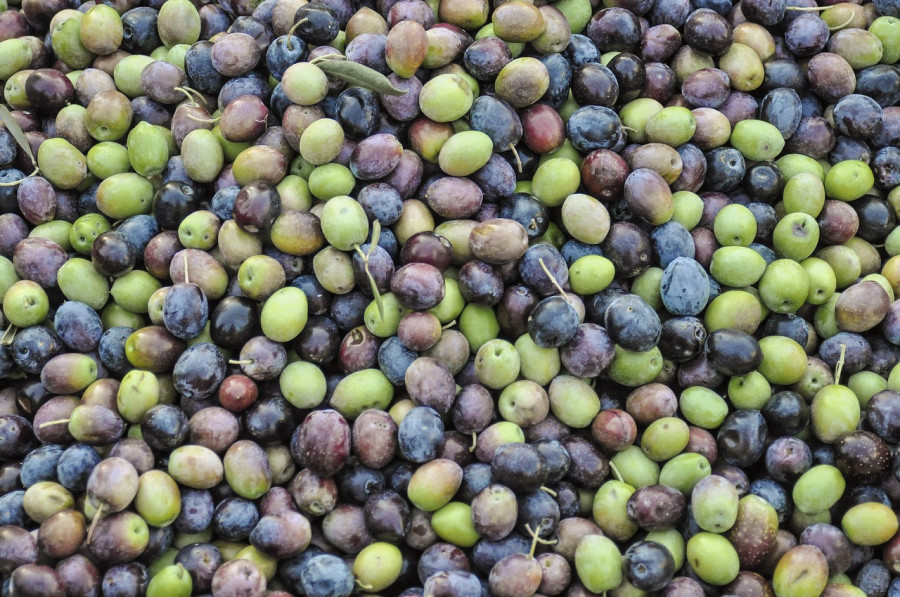 Olives 1307154 1280