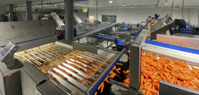 GRUPO HIJOLUSA Agricola Villena Nueva planta La Barca Cádiz 2
