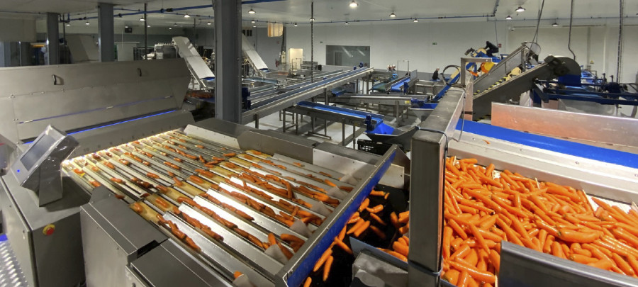 GRUPO HIJOLUSA Agricola Villena Nueva planta La Barca Cádiz 2