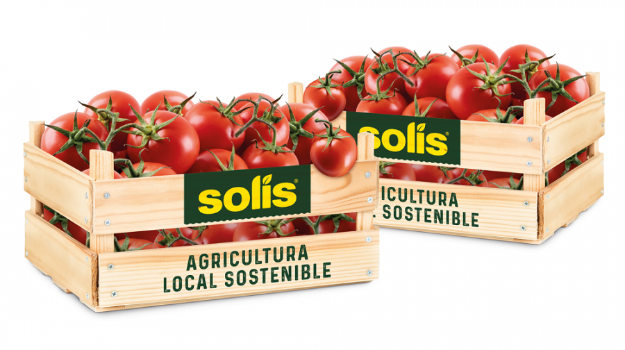 1323   NP Nestlé ahorra más de 1,4 millones de m3 de agua en el cultivo de tomate