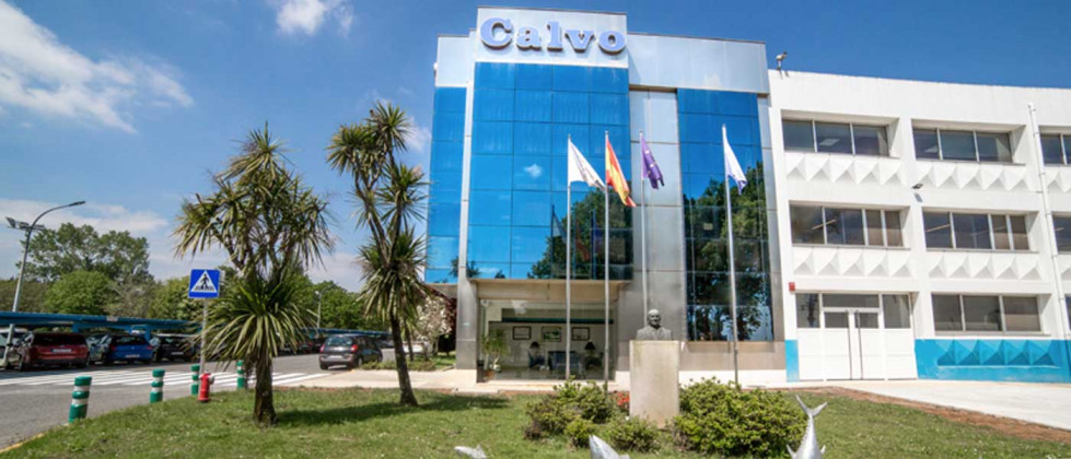 Grupo Calvo Resultados 2019