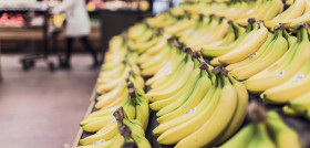 Bananas 698608 1280 (1)