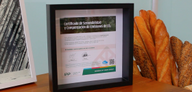 IPP certificado