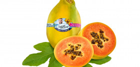 Papaya JPG
