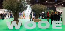 WOOE edición 2022