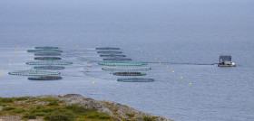 Fish farming 6576867 1280