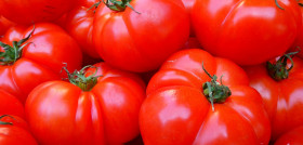 Tomatoes 5356 1280