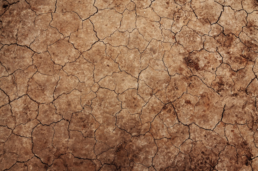 Arid 21799 1280