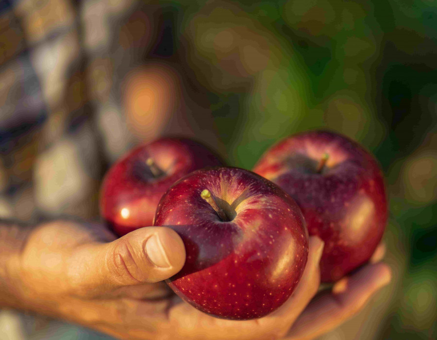 Imagen Lidl Manzanas 2