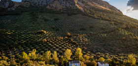 Deoleo Córdoba 2