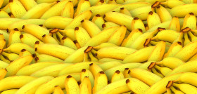 Bananas 1119790 1280