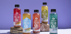 FLAX & KALE mocktails