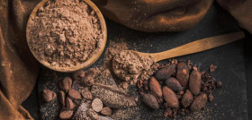 Cacao en polvo (2)