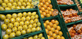 FOTO NARANJA   LIMON masymas