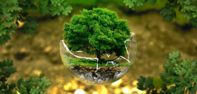 Environmental protection 326923 1280