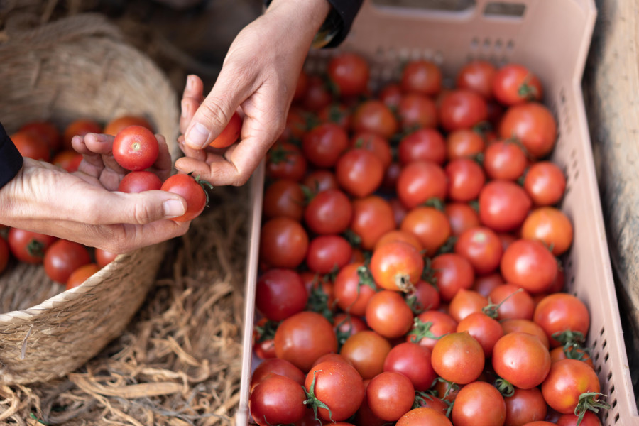 Imagen Lidl   Tomates nacionales
