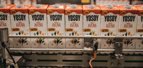 YOSOY 2 (1)
