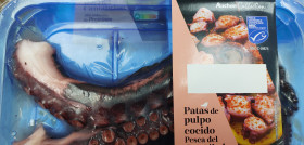 Pulpo MSC