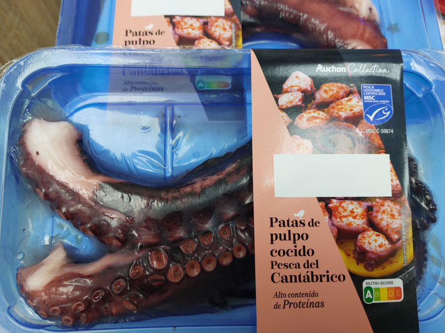 Pulpo MSC