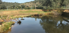 2823   NP Nestlé reafirma su compromiso con los recursos hídricos y la biodiversidad acuática