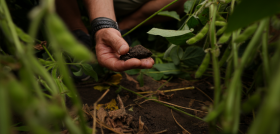 AN2123   Garden Gourmet impulsa la transición hacia una agricultura regenerativa