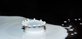 Drops of milk 2062100 1280