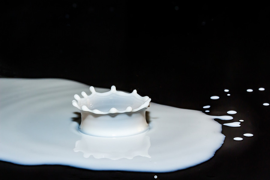 Drops of milk 2062100 1280