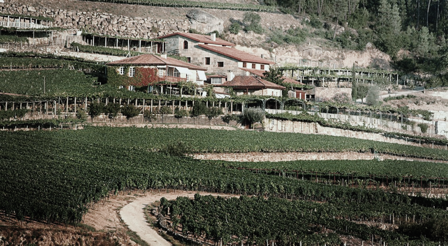 FINCA VILERMA