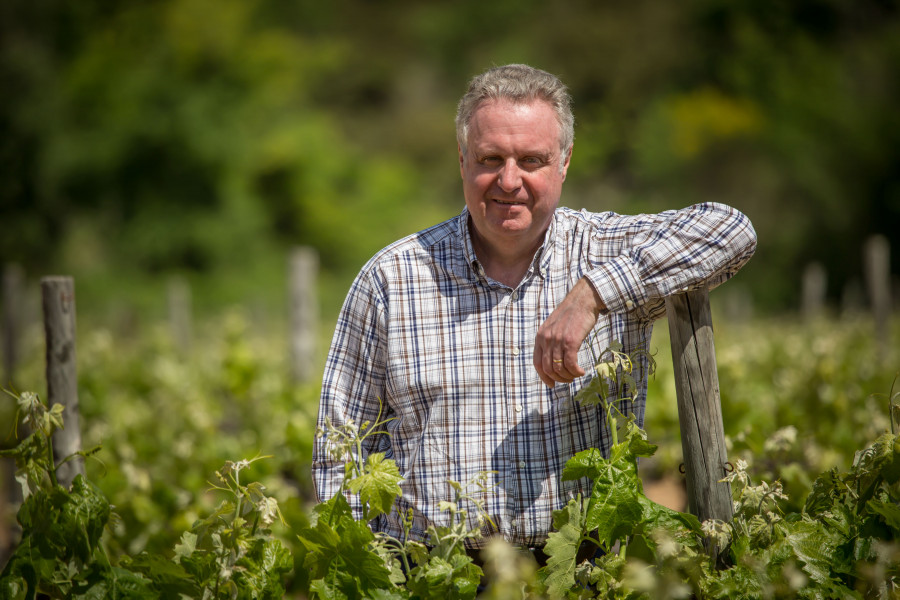 Pere Ferrer, coconsejero delegado y vicepresidente de Freixenet