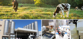 Imagen Grupo Lactalis
