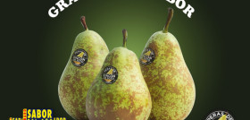 Imagen SABOR DEL AÑO