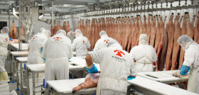 Sala de Despiece Ibéricos Torreón