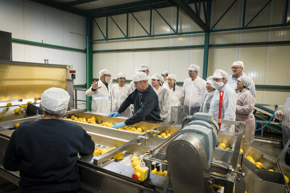 Visita CITRESA Suntory Beverage & Food Spain (1)