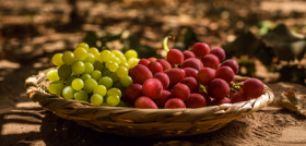 Uvas 1